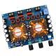 Balikha 1 Piece Bluetooth Amp Board Digital Power Dual Bass For Active Speakers