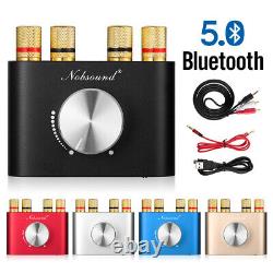 Douk Audio NS-01G Pro Stereo Bluetooth 5.0 Power Amplifier Mini HiFi Digital Amp