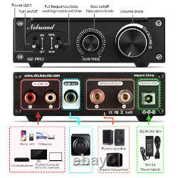 Hi-Fi 300W Subwoofer Amplifier Mono Channel Power Amp Home Audio Gain Control