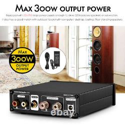 Hi-Fi 300W Subwoofer Amplifier Mono Channel Power Amp Home Audio Gain Control