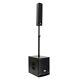 Powered Column Array Pa System 700 Watts 10 Sub & 2 Satellite Speakers Dsp