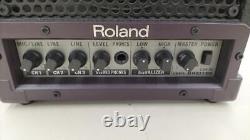 Roland CM-30 Portable 6.5 2-Way Powered Cube Monitor Amp Great Condition