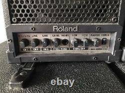 Moniteur Roland Cube Cm-30 30 Watts Powered Monitor 2